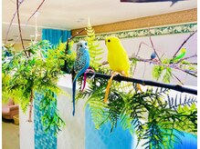 NTエステティック 西条店/