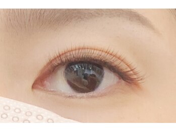 ペルシャ(Persian)/3Dボリューム(担当:宮井)