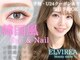 エルビリア(ELVIREA)の写真