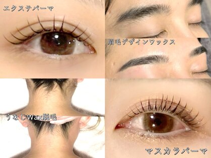 シーアットシュシュ(C at Chouchou)の写真