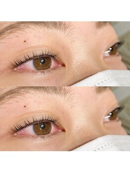 モードケイズ マノン(MODE K's MANON)/ラッシュリフト、まつげパーマ