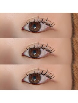 スフィーダ 吉祥寺(Sfida)/フラットラッシュ100本