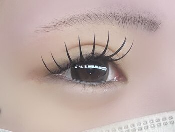 フリー#240(Free#240)/ダブルフラット200本