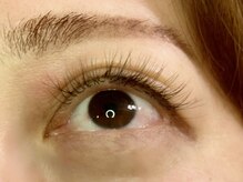 まつげエクステサロン クロエ(Chloe)/フラットラッシュ新色グレー