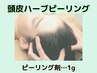 頭皮ケア　【育毛・抜け毛・頭皮臭予防】　頭皮全体ハーブピーリング【１g】