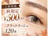 ＼秋今だけ!!￥4900→￥4400／120本フラットラッシュ他選べる毛質(上)￥4400～