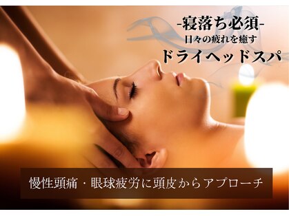 シンカ 湘南江ノ島 鵠沼(shinka)の写真