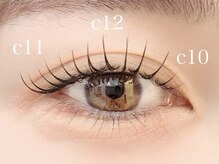 ネリネ 博多(nerine)/パリエク120本