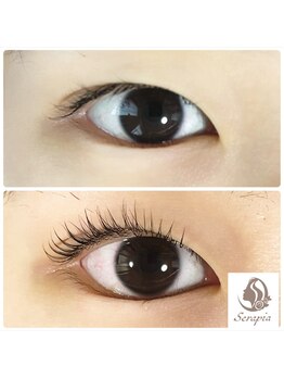 セラピア(Serapia)/似合わせまつ毛パーマ