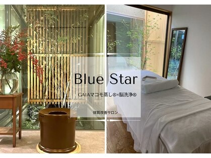 ブルースター(BlueStar)の写真