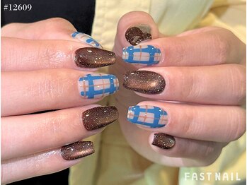 ファストネイル 高田馬場店(FAST NAIL)/フラッシュマグネット×チェック