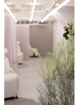 ココン(Cocon by ROSETTA+)/