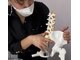小顔 痩身エステ アンド からだ歪み矯正専門店の写真