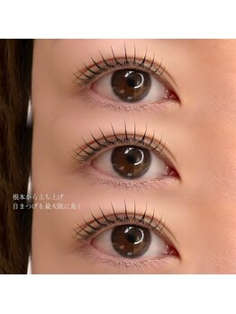 ヴィフ(Vif)/パリジェンヌラッシュリフト