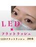 《ご新規様》【LED×フラットラッシュ200本】￥14,300⇒￥11,440