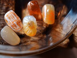 ボリューム定額