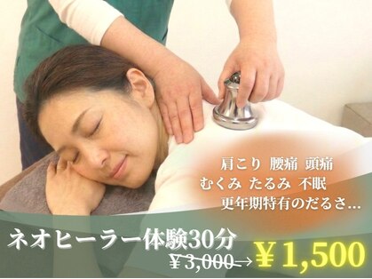 木もれ日 福岡千早店の写真