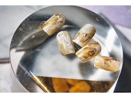 トレンドコース