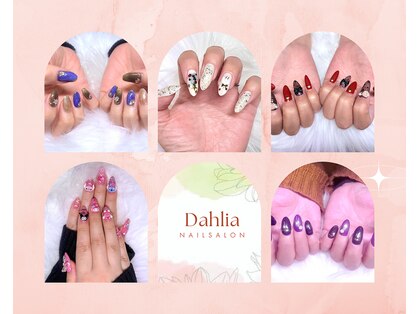 ダリア(Dahlia)の写真