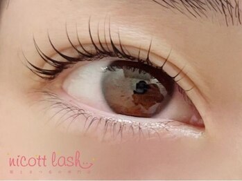 ニコットラッシュ 神戸三宮店(nicott lash)/まつげパーマ/パリジェンヌ/神戸