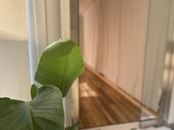 ルル(RULU)/☆完全個室です☆