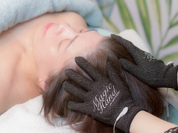 ルアナライフ(Luana Life)/EMSドライヘッドスパ