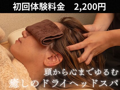 龍(Dragon)の写真