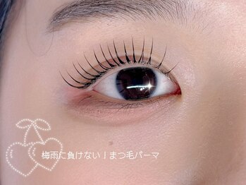 ノプシス(nopsis)の写真/ビューラー要らず☆梅雨対策まつ毛パーマ 