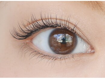 イデアル(ideal)/８０本（片方４０本仕上げ）大宮