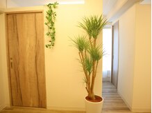 ナチュレス シャイニー(Nature’s Shiny)/VIO,顔etcパーツごとの脱毛もOK