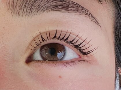 ルコル(Lecoeur)の写真