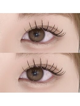 アーチ(arch)/フラットラッシュ/マツエク