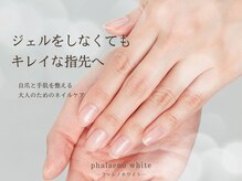 ファレノホワイト