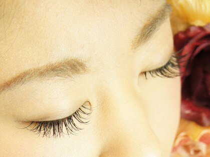 ナツメ(Natume)の写真