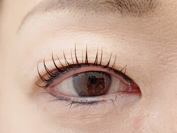 コロルアイラッシュ(color eyelash)/まつげパーマ/能見台/金沢文庫