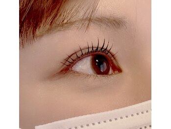 アルメリアリッセ(Armeria lisse)/ラッシュリフト