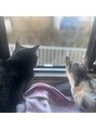 ラシク(Rasiku)&nbsp;猫ちゃん 2匹と暮らしています♪