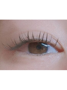 エクステの種類が豊富