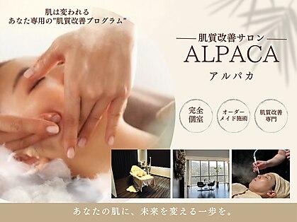 アルパカ(ALPACA)の写真