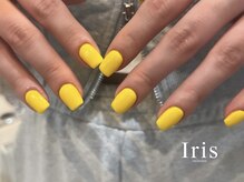 アイリス(Iris)/onecolor°