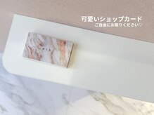 ピブ(pib.)/ご紹介お願いします！