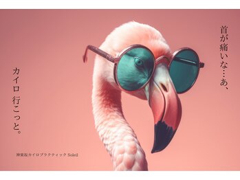 ソレイユ 神楽坂(Soleil)の写真/【元腰痛持ちだから教えられる】自分のために、腰痛のための研究した施術とセルフケアをあなたにも◎