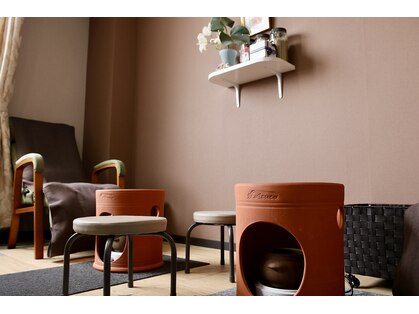 マヤ暦とよもぎ蒸しサロンマダムくみこの部屋の写真