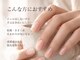ファレノホワイトの写真