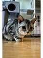 ブルーデイジー 栄本店(Blue daisy)&nbsp;動物が好きで猫飼ってます！*まりもちゃんです★*。
