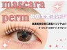 上まつ毛パーマ【マスカラパーマ】+下まつげパーマ+眉wax　￥13300
