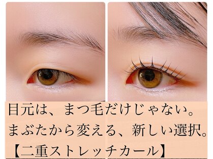 シャイニー(Shiny)の写真