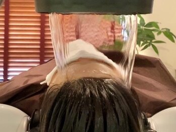 スキンケアエヌラボ(Skin Care N-Labo)/頭浸浴