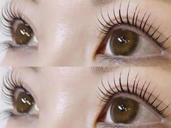 リジャスト(LE JUST)