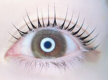 ミモザ シンサイバシ(Mimosa shinsaibashi)